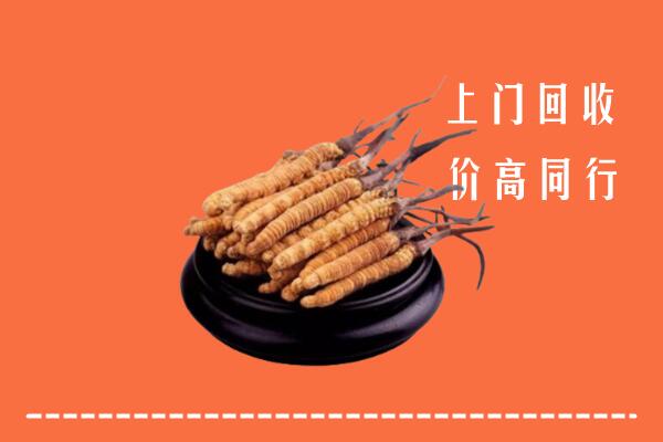 高价求购：漳州市华安回收散虫草