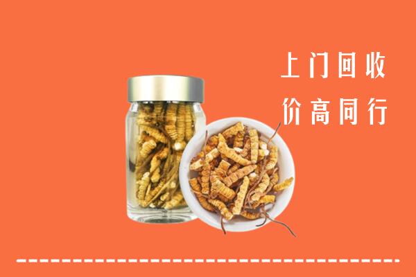 漳州市华安回收冬虫夏草